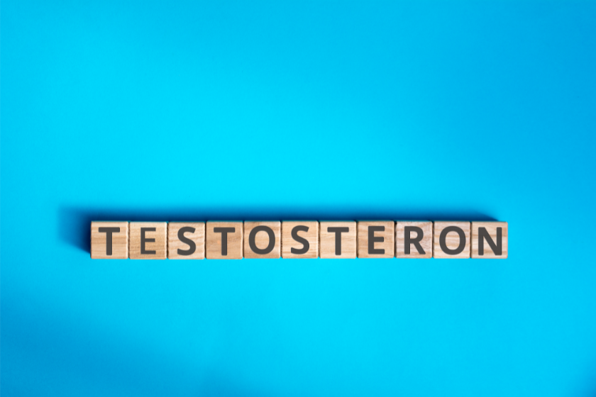 co to jest testosteron